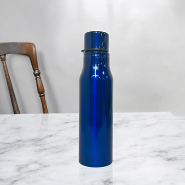 Stainless Steel Glossy Solid Colour Water Bottle-750ml (Blue)